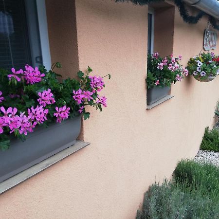 Danieli Holiday Home Štúrovo Exteriér fotografie